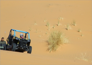 Buggy Experience Merzouga