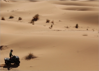 Quad Biking Merzouga