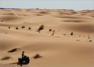 Quad Biking Merzouga