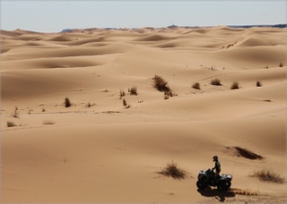 Quad Biking Merzouga