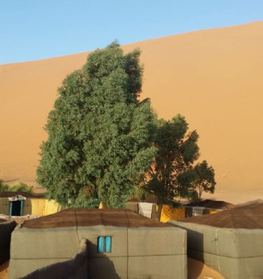 Merzouga Desert Camp