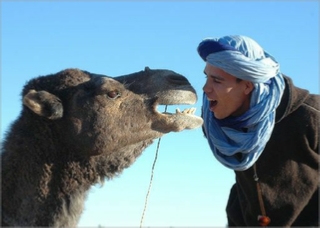 Merzouga camp Merzouga